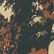 color: Multi Scenic Tapestry Print