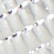 color: Silver Lizard