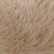 Oat
