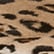 color: Leopard
