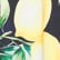 color: Navy Limone