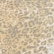 color: Leopard