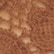 color: Espresso