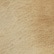color: Beige
