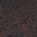 color: Chocolate Python