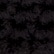 color: Black
