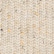 color: Beige