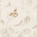 color: Ivory