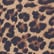 color: Brown Leopard