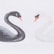 color: Swans