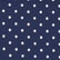 Navy & White Dots