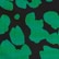 color: Green Black Leopard