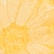 color: Gold Brocade