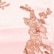 color: Pink & Chocolate