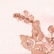 color: Pink & Chocolate
