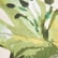 Rooted Floral