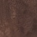 Brown Lace