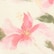 color: Yellow Floral