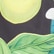 color: Black Lemon