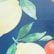 color: Navy Lemon