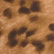 color: Leopard Print