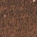 color: Chocolate Brown