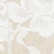 color: White