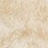 color: Ivory