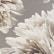 Fall Flowers