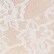 Seashell 3-Pack