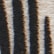 color: Zebra & Gold