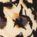 Beige Leopard Print