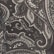 Museum Grey, Polo Black, & Woods Paisley Print