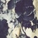 Black & Cream Floral