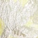 color: Sunshine