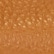 color: Caramello