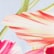 color: L'acqua Orchid