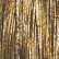 color: Honey Gold