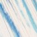 Blue Zebra