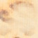 color: Leopard Sequin