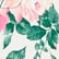 Light Pink & Pink Roses