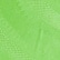 color: Parakeet & Ivory Emb