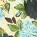 Lantana Aquatic