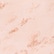 color: Pink Snake Skin