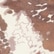 color: Snake Skin