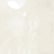 color: Champagne