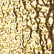 Star Gold