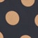 color: Black & Tan Polka Dot