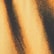 Tiger Face Print