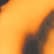 Tiger Face Print
